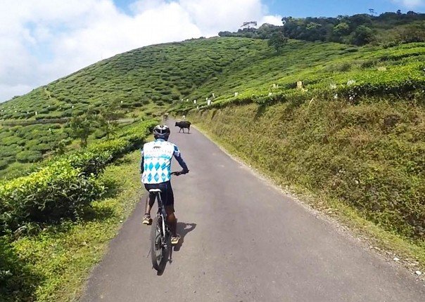 Cycling in South India: Tamil Nadu & Kerala 16 Days